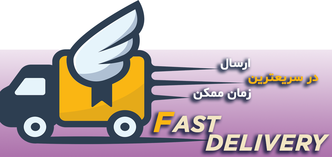 ارسال سریع