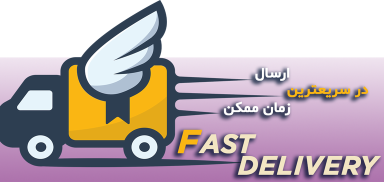 ارسال سریع