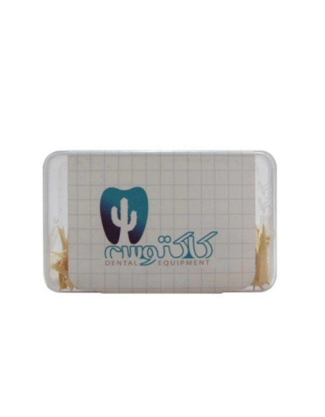 وج چوبی کاکتوس